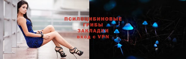дмт Алексеевка