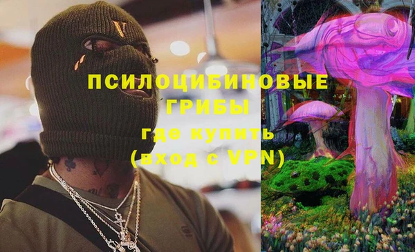 дмт Алексеевка